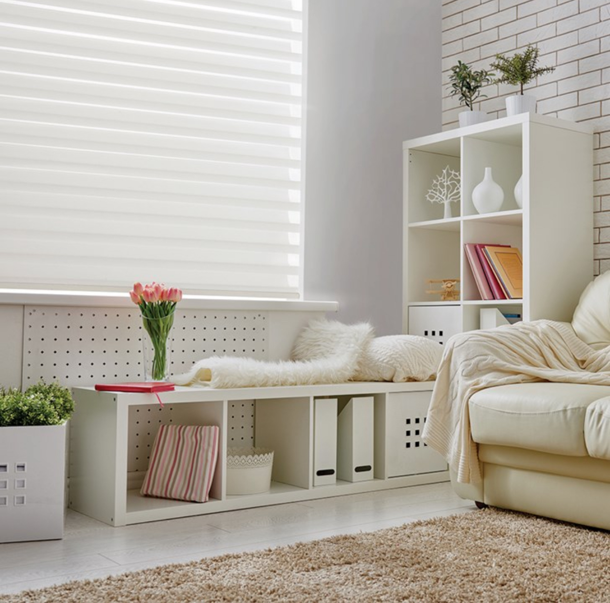 Modern room with roller blinds